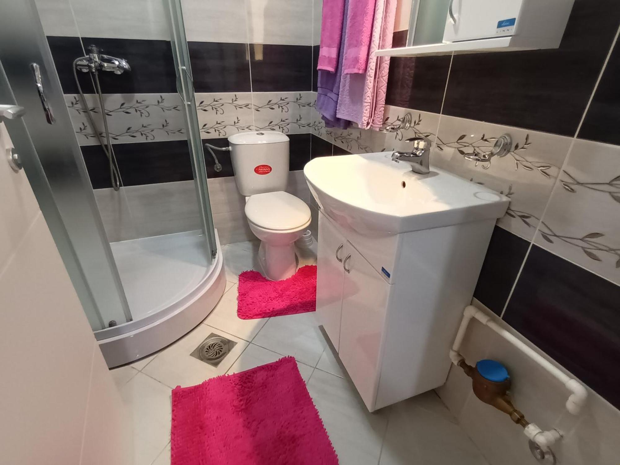 Apartman Rubi Sokobanja Dış mekan fotoğraf